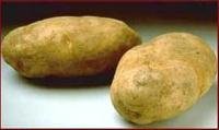 potatoes